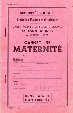 Le carnet de maternitéCollection MARTIN Jean-François.
