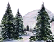 Retour en haut de page C\