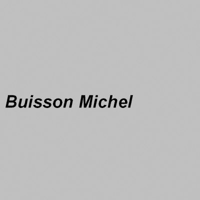 Buisson Michel