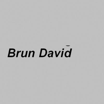 Brun David