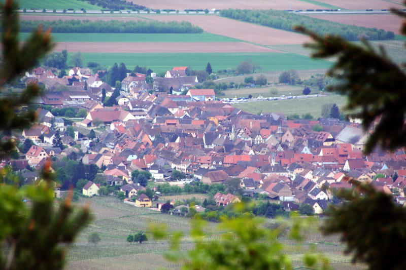 alsace_5.jpg - Vue du Haut Koenigsbourg