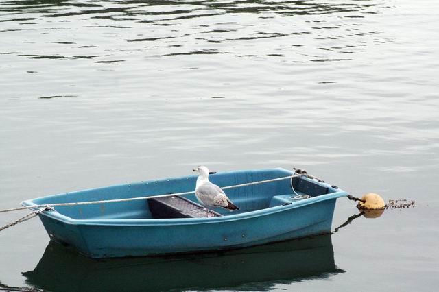 barque3.jpg - Concarneau : Barque