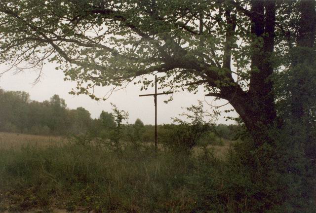 l'arbre qui l'abrite<br><small> (Photo R. Briols)</small>