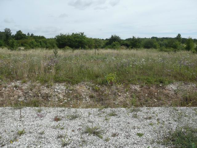 Au bord de la route (Photo J.F. Martin)