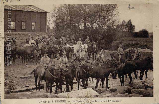 Corve des conducteurs  l'abreuvoir