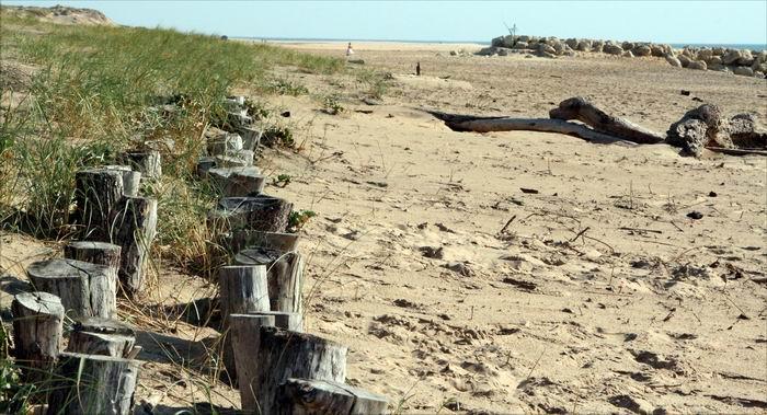 6.jpg - Plage de la côte sauvage