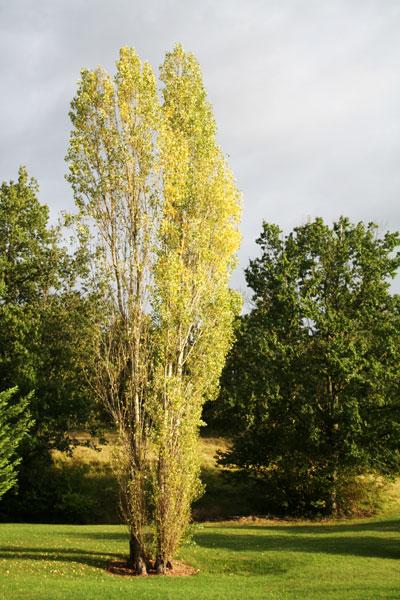 dordogne19.jpg - Jolie lumière après un orage.