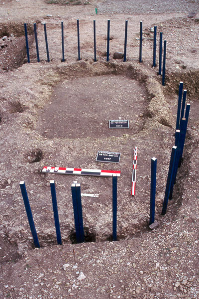 Reconstitution de la structure en bois des murs du grand btiment.