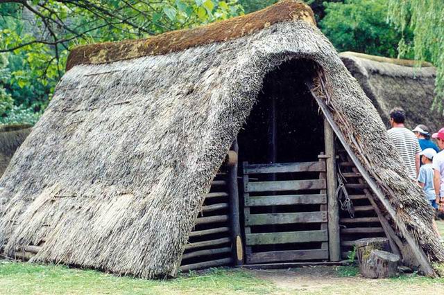 Exemple d'une maison reconstitue au muse des Temps Barbares  Marle d'aprs les fouilles de Goudelancourt-les-Pierrepont (Aisne).