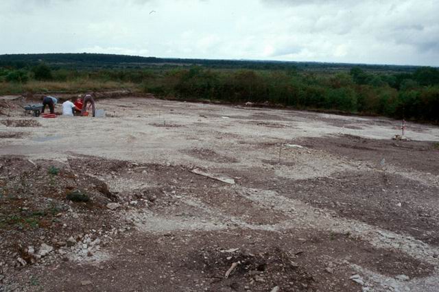 Dcapage archologique laissant apparatre des creusements anciens (taches sombres) correspondant aux fonds de cabanes, fosses et autres amnagements.