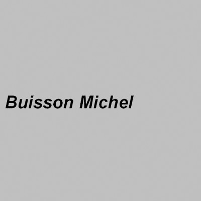 Buisson Michel